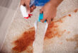 Loveland Carpet Cleaning Services for Pristine Floors