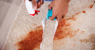 Loveland Carpet Cleaning Services for Pristine Floors